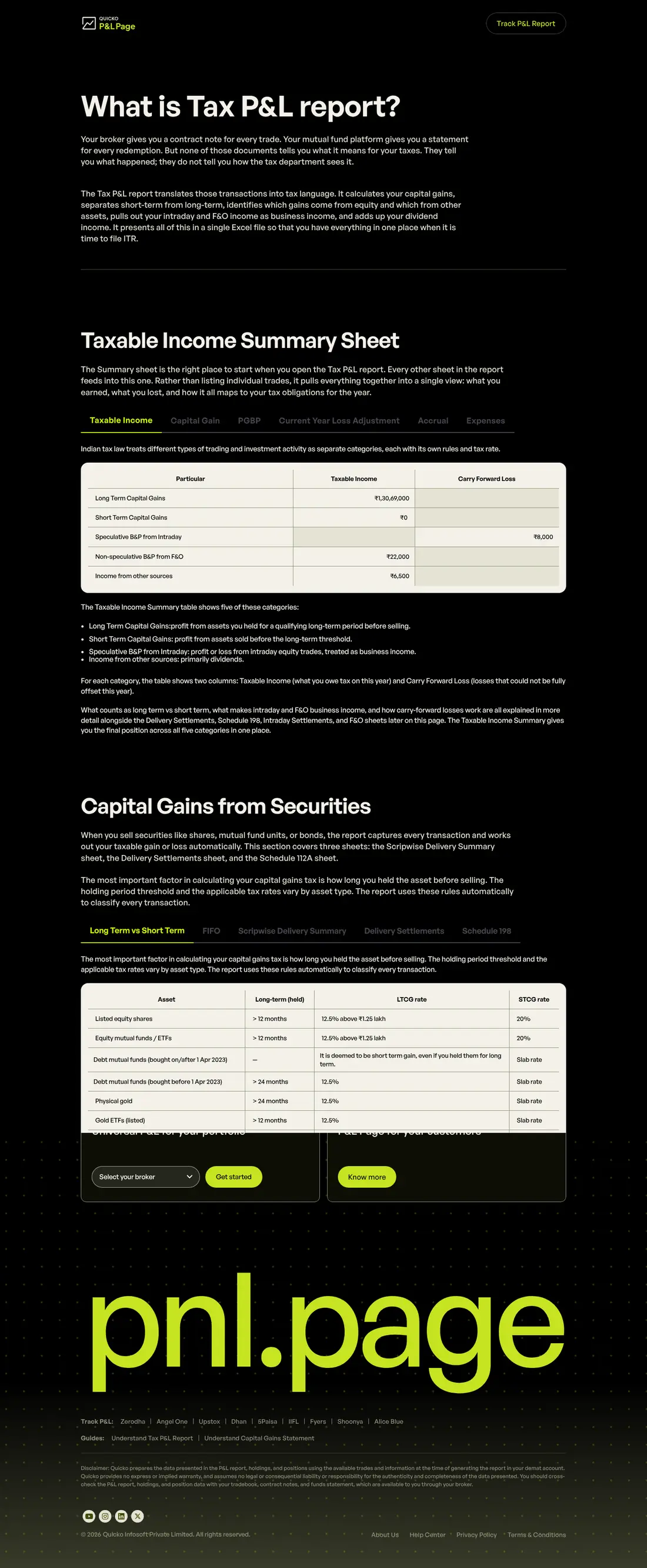 Tax P&L Report, explained: full-page screenshot